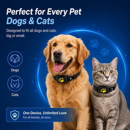 Smart GPS Tracking for Dogs & Cats — Anytime, Anywhere.
